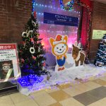 V0l.29　クリスマスのそうにゃんだい<br />（2016.12神奈川県藤沢市）